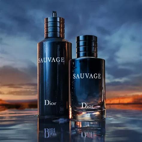 beste alternatief voor dior|best alternative to Dior sauvage.